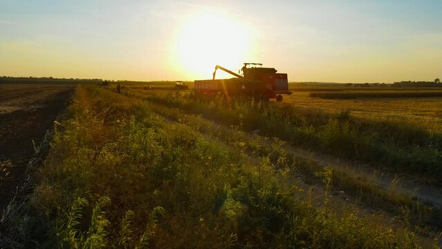 Harvester unloading. Grain is poured from hopper to truck. Vintage combine harvesting golden ripe wheat on agriculture field. Concept of work in agronomic farm and production organic food