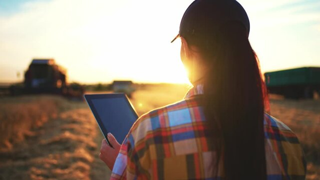 Farmer woman with digital tablet in hands walks through harvesting wheat field. Agronomist online remotely control and manages farming. Meadow with machinery technics:an combine harvester, tractor.