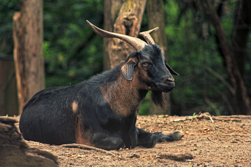 Charleston, South Carolina