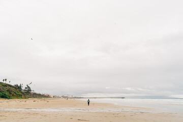 Fototapeta na wymiar kite surfer on the beach