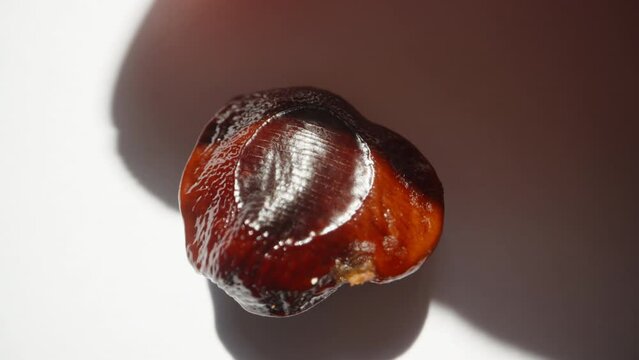I'm looking at a bone from a tamarind fruit on a white background. Dolly slider extreme close-up.