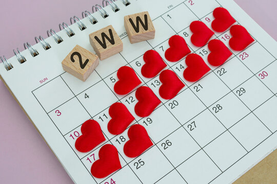2WW word on wooden block with red heart shape on calendar. Two Week Wait concept