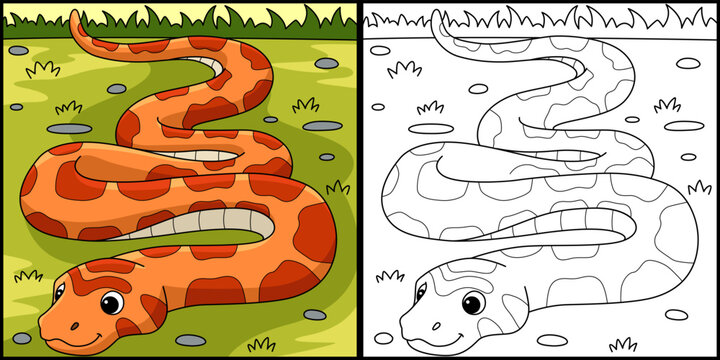 Corn Snake Animal Coloring Page Illustration