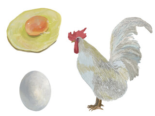 鶏卵生卵セット_横