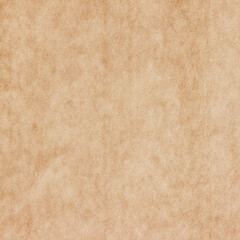 Old Paper texture. vintage paper background or texture; brown paper texture.