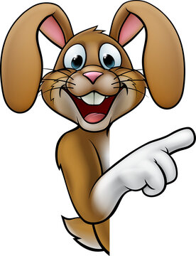 Cartoon Easter Bunny Rabbit Pointing