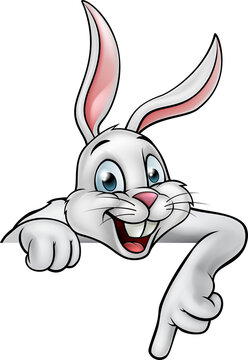Cartoon Rabbit or Easter Bunny