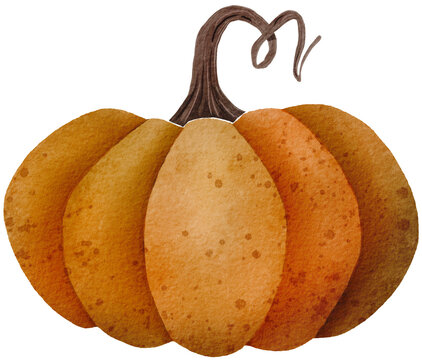 Watercolor pumpking over transparent background