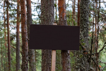 Dark blank sign with the surface texture in the forest in summer with pine trees in the background