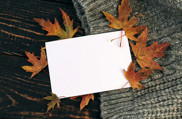 white blank card on the autumn background with fallen leaves and acorns on a knitted blanket. mockup