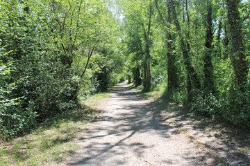 Chemin de randonn&eacute;e, sud de la France, &eacute;cotourisme.
