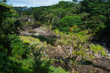 Fototapeta na wymiar wailuku river state park landscape and pe'epe'e falls in distance hilo hawaii