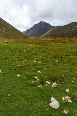 Fototapeta premium Dead valley of the national park sierra de la Culata at an altitude of 2,500 meters above sea level in Venezuela.