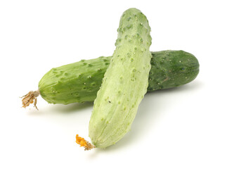 Green cucumber on the white background