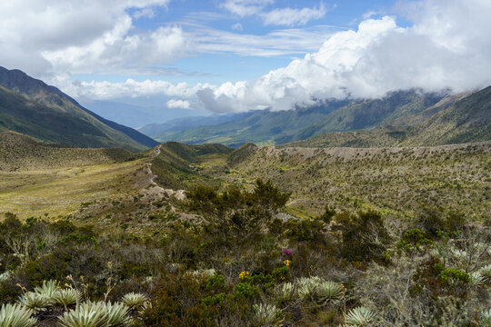 Hills of the national park sierra de la Culata and mountains in the background near the towns of la culata - Venezuela