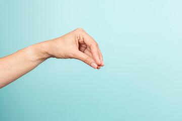 Woman hand gesture. Female hand holding some like object or blank card on light blue background