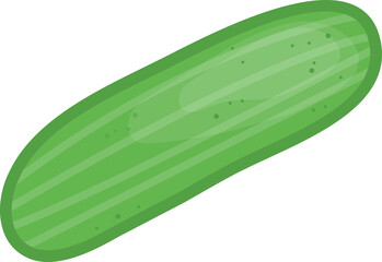 Cucumber, vegetable fresh