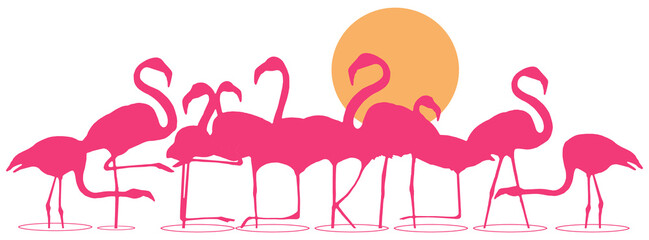 Florida is spelled out in the legs of a flock of flamingos standing in shallow water at sunset in this illustration about tropical Florida, USA.