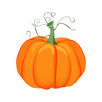 pumpkins colors isolated  background for content online or web, banner and template , Flat cartoon flat style. illustration