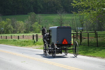 horse and carriage