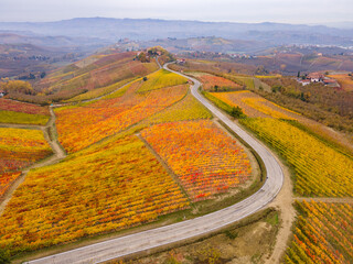 view of castle of Grinzane Cavour, Langhe, Piedmont, Italy