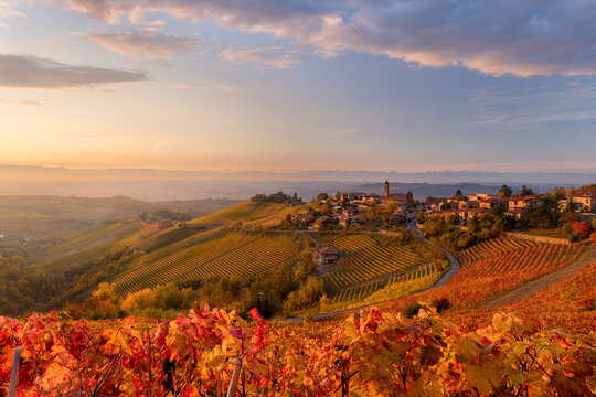 view of Treiso in Autumn, Langhe, Piedmont, Italy