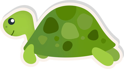 Сute Turtle Cartoon