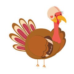 American Football Turkey Chicken