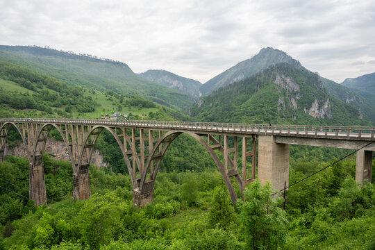 High bridge Montenegro, Mala Rijeka Viaduct