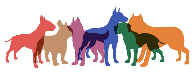  Animals, the image of dogs. Animal silhouettes with various overlays.