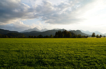 scenic, sunlit, lush green alpine meadows of the Schwangau village with the Bavarian Alps in the...
