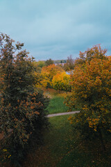 Fototapeta premium top view of the autumn trees on the city street, beautiful colorful fall season