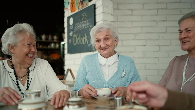 Happy senior friends sitting indoors in cafe drinking coffee or tea, laughing and having nice time together.