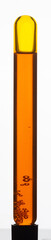 Yellow viscous liquid sunflower lecithin with bubbles in a transparent test tube on a white background