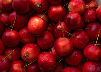 Background with apples.Little red apples. Harvest of apples.