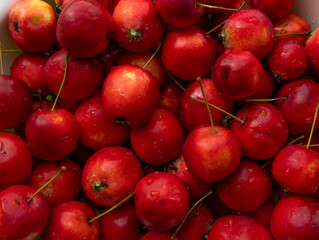 Harvest of apples.Little red apples.Background with apples. 
