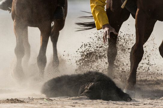 Kok-boru game at the World Nomad Games 2018 hosted in Kyrgyzstan