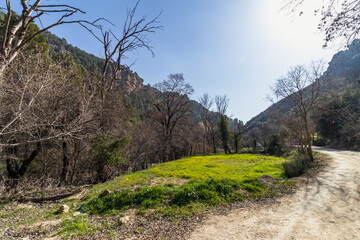 Fototapeta na wymiar Rocky mountain slope covered with lush vegetation