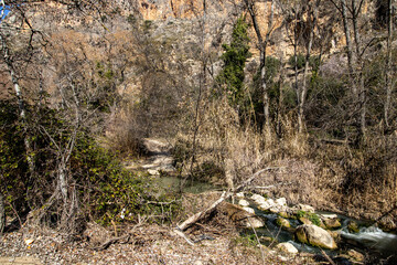 Rocky mountain slope covered with lush vegetation