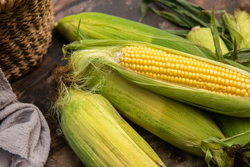 resh corn on the table for cooking