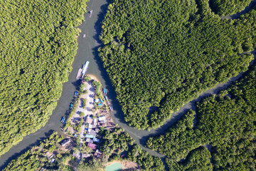 Top view Harbor in mangrove forest, Aerial view of forest trees Rainforest ecosystem and healthy environment background, Texture of green trees forest top down High angle view