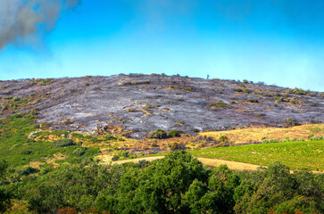 Fototapeta premium Intervention sur le lieu d'un incendie de forêt,Occitanie,France.