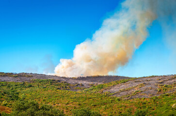 Intervention sur le lieu d'un incendie de forêt,Occitanie,France.