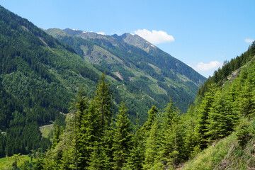 Fototapeta na wymiar the picturesque lush green Austrian Alps of the Schladming-Dachstein region (Styria or Steiermark, in Austria)