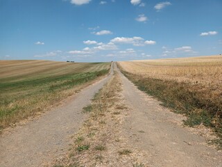 Feldwwirtschaftsweg durch Sommerlandschaft in der Eifel mit Wiese, Feld, blauem Himmel und Cumulus-Wolken bei Monreal im Landkreis Mayen-Koblenz, Rheinland-Pfalz. 