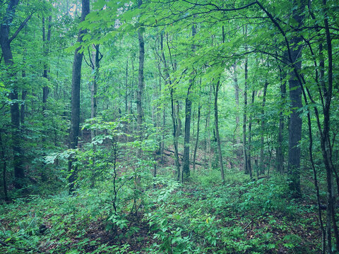 Hocking Hills, Ohio