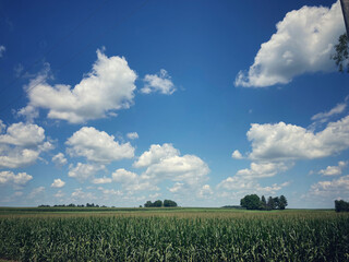 Ohio farmland © Steve