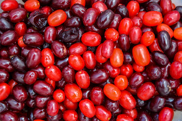 Fresh dogwood berry as background.
