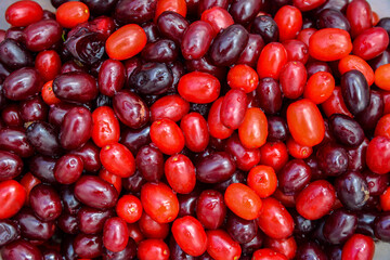 Fresh dogwood berry as background.