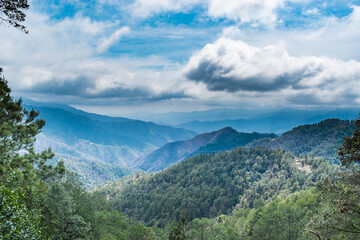 Bosque Encantado San José del Pacífico
